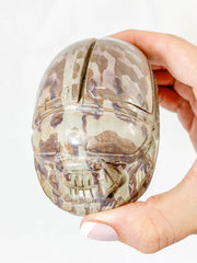 Zebra Stone Scarab Beetle Carving