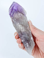 Amethyst Natural Laser Dragons Tooth Wand 272g