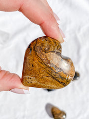 Stromatolite Heart | Medium