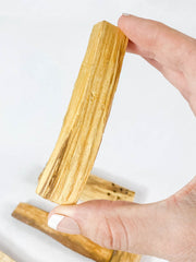 Palo Santo Stick | Thick