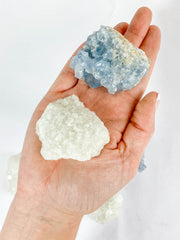 Harmony Duo: Celestite + Glass Apophyllite | Medium