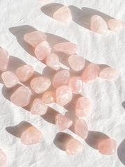Rose Quartz Tumbles | Small