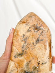 Picture Jasper Polished CutBase 1.4kg