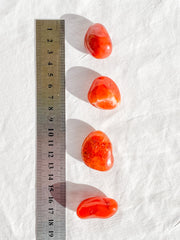 Carnelian Tumbles | Medium