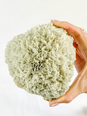 Scolecite with Apophyllite Cluster with Inclusions 852g