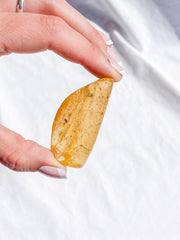 Copal with Insect Inclusions 14g