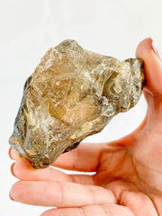 Smoky Quartz with Actinolite Elestial Natural Mineral Specimen 311g