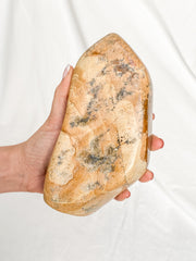 Picture Jasper Polished CutBase 1.4kg