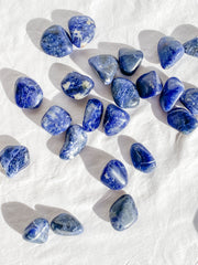 Sodalite Tumbles | Small