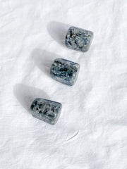 Larvikite Tumbles | Medium