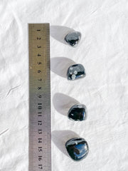 Snowflake Obsidian Tumbles | Small