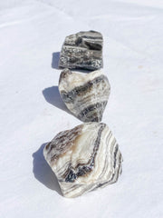 Zebra Natural | Medium
