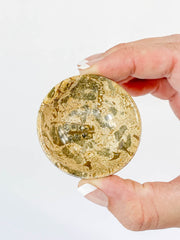 Fossil Coral Bowl | Small