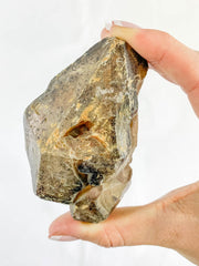 Smoky Quartz with Actinolite Elestial Natural Mineral Specimen 311g