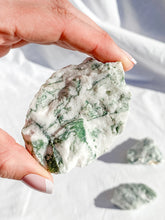 Tree Agate Natural | Large