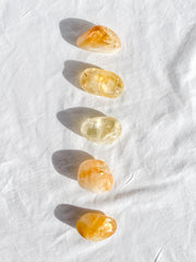 Citrine Baked Tumbles | Medium