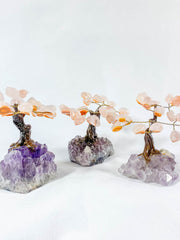 Crystal Bonsai Tree Rose Quartz on Amethyst Base