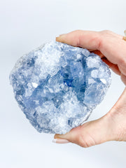 Celestite Cluster 667g