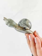 Jasper Snail Carving