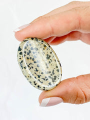 Dalmatian Jasper Worry Stone