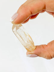 Golden Healer Natural Point 14g
