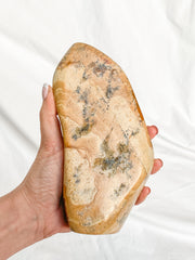 Picture Jasper Polished CutBase 1.4kg