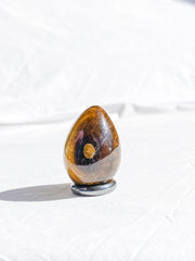 Tiger Eye Egg | Small