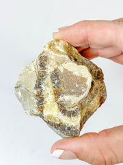 Septarian Naural | X Large