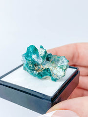 Dioptase Mineral Specimen 17g