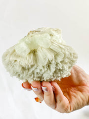 Scolecite with Apophyllite Cluster with Inclusions 852g