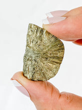 Pyrite Flower Mineral Specimen 30g