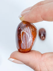 Dark Carnelian Tumbles | Medium
