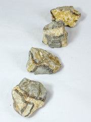 Septarian Natural | Large