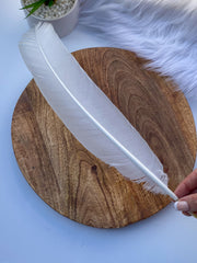 White Peacock Cleansing Feather Ethically Sourced