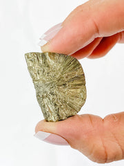 Pyrite Flower Mineral Specimen 30g