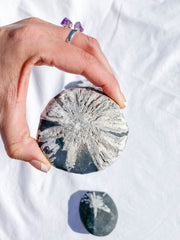 Chrysanthemum Natural Stone | X Large