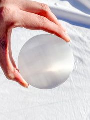 Selenite T-Rex Plate | Medium