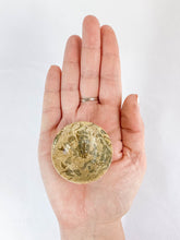 Fossil Coral Bowl | Small