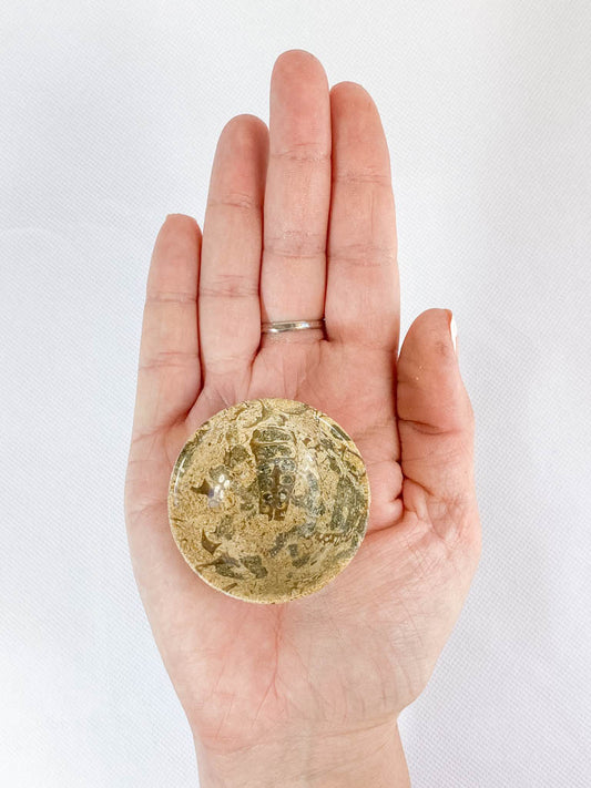 Fossil Coral Bowl | Small