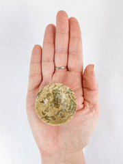 Fossil Coral Bowl | Small