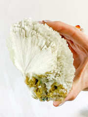 Scolecite with Apophyllite Cluster with Inclusions 852g