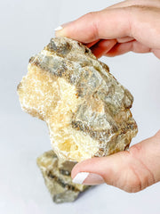 Septarian Naural | X Large