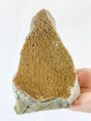 Caramel Amethyst CutBase Cluster 1.2kg