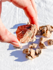 Leopardite Natural | X Small