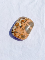 Leopardite Palm Stone 126g