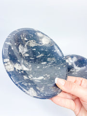 Orthoceras Bowl | XX Large