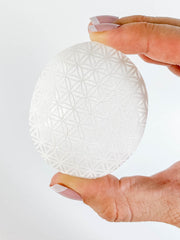 Selenite Palm Stone Seed of Life | Medium
