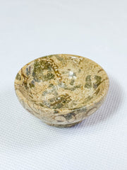 Fossil Coral Bowl | Small