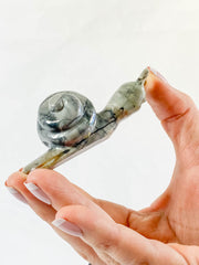 Jasper Snail Carving