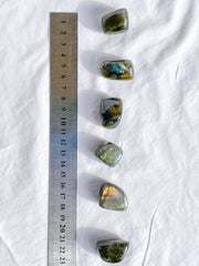 Labradorite Tumbles | Medium